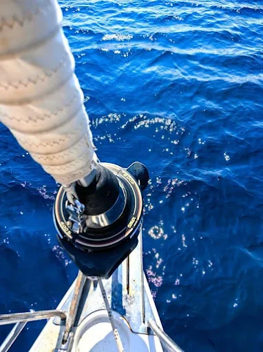 deep-blue-sea