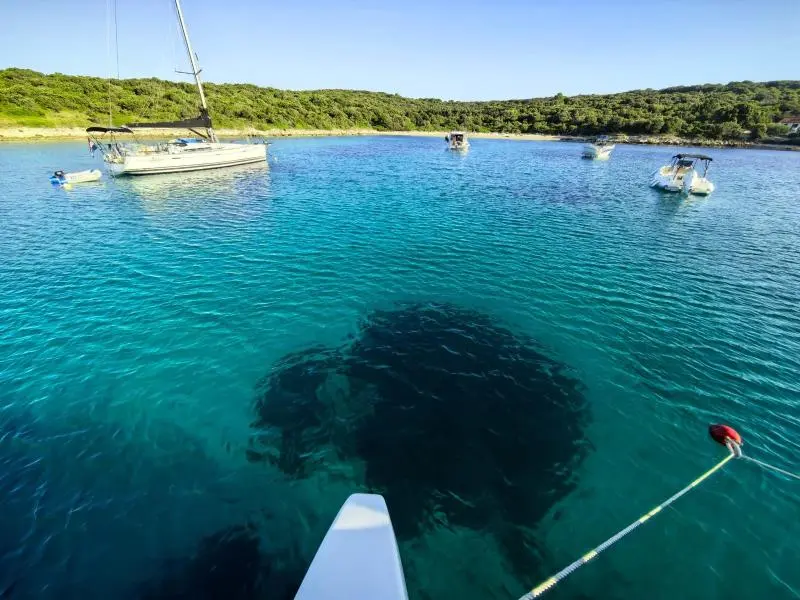 SILBA SAILING